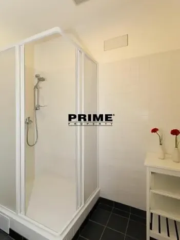 Pronájem bytu 2+kk, Praha - Vinohrady, Belgická, 42 m2