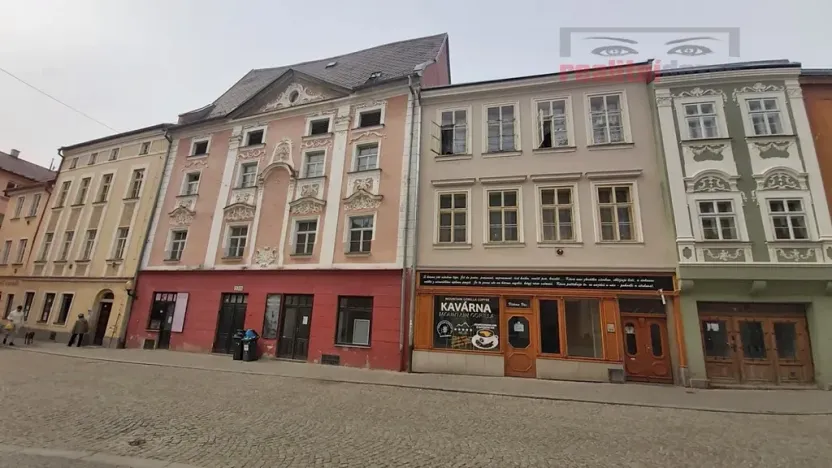 Prodej domu, Jihlava, Palackého, 490 m2