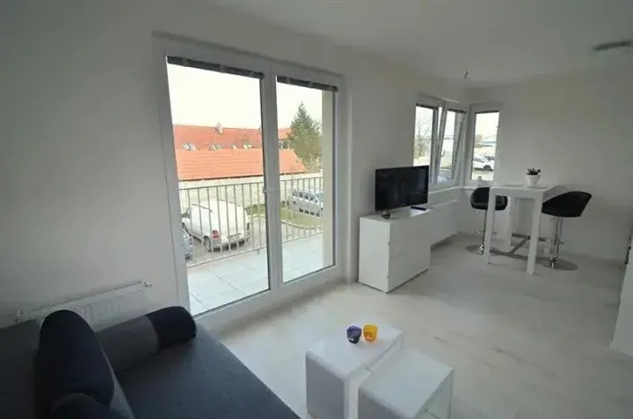 Pronájem bytu 1+kk, Vestec, U Hrubých, 35 m2