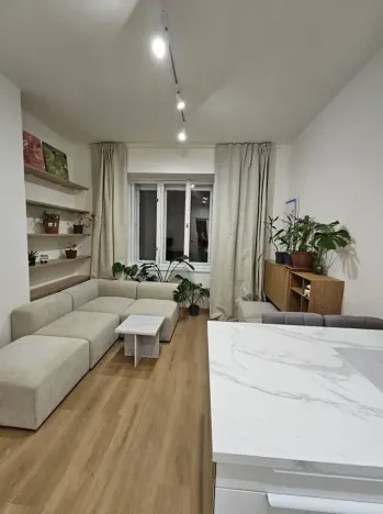 Pronájem bytu 2+kk, Praha - Žižkov, Žerotínova, 45 m2