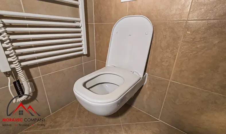 Pronájem apartmánu, Ostrava, Cihelní, 38 m2