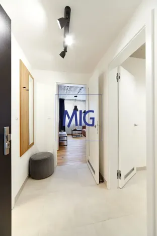 Pronájem bytu 2+kk, Brno, Cejl, 32 m2