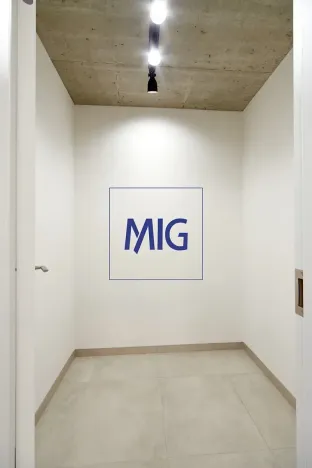 Pronájem bytu 2+kk, Brno, Cejl, 32 m2