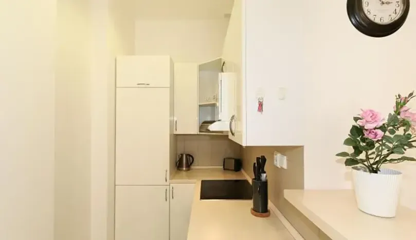 Pronájem bytu 2+kk, Praha - Vinohrady, Belgická, 42 m2