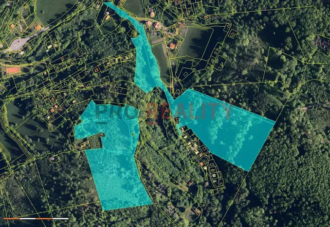 Prodej lesa, Třinec, 102143 m2