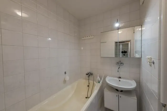 Pronájem bytu 1+1, Praha - Michle, Na úlehli, 46 m2