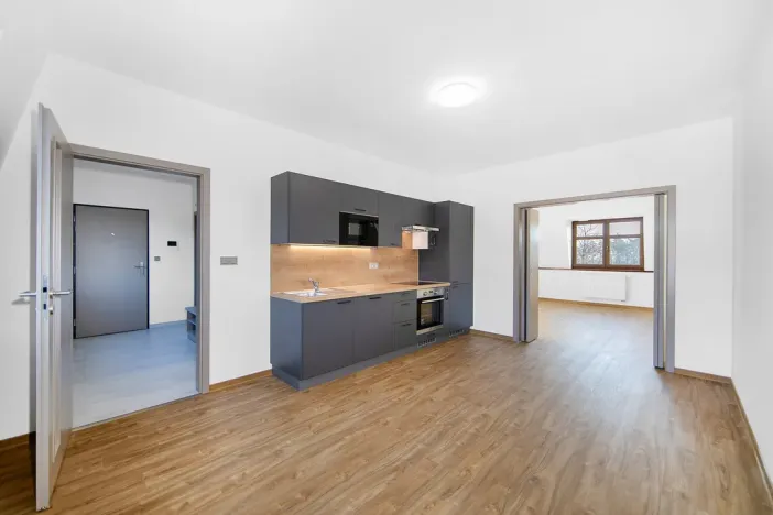 Pronájem bytu 1+1, Plzeň - Severní Předměstí, Bolevecká, 51 m2