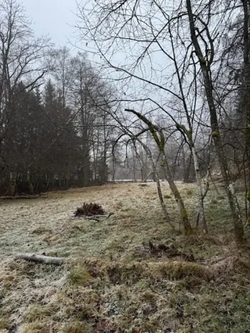 Prodej podílu lesa, Vacov, 23843 m2