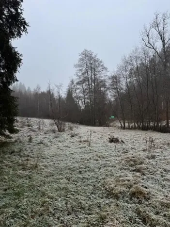 Prodej podílu lesa, Vacov, 23843 m2