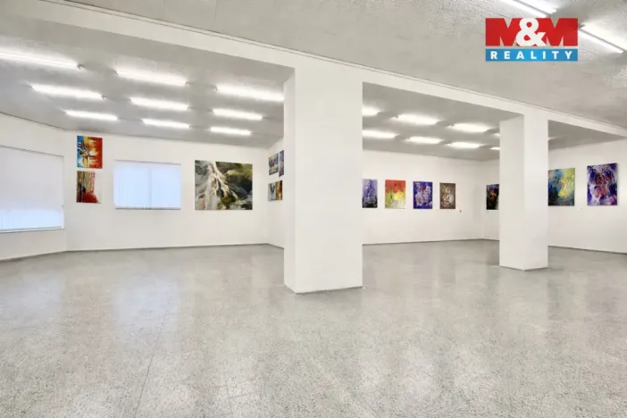 Pronájem obchodního prostoru, Louny, Říční, 216 m2