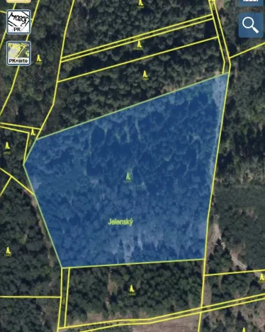 Prodej lesa, Veliny, 16002 m2