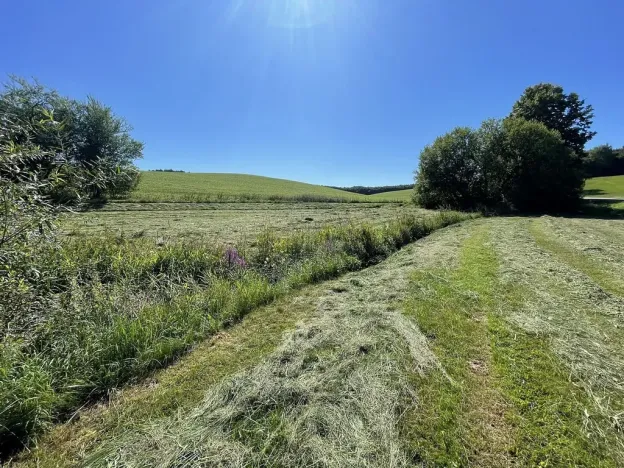 Prodej pozemku, Dolní Dobrouč - Horní Dobrouč, 6634 m2