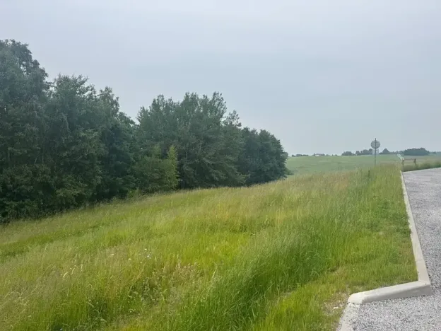 Dražba pozemku pro bydlení, Slavče, 1251 m2