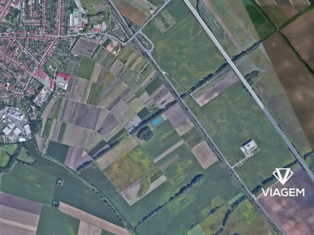 Prodej pole, Podivín, 4035 m2