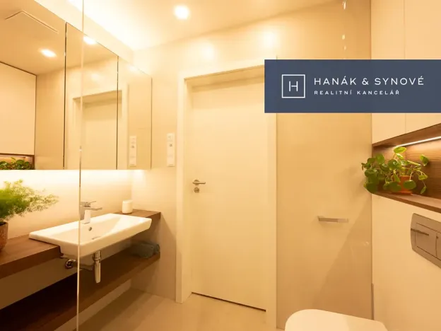 Pronájem bytu 1+kk, Brno, Koliště, 22 m2