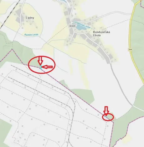 Prodej lesa, Bolehošť, 3558 m2