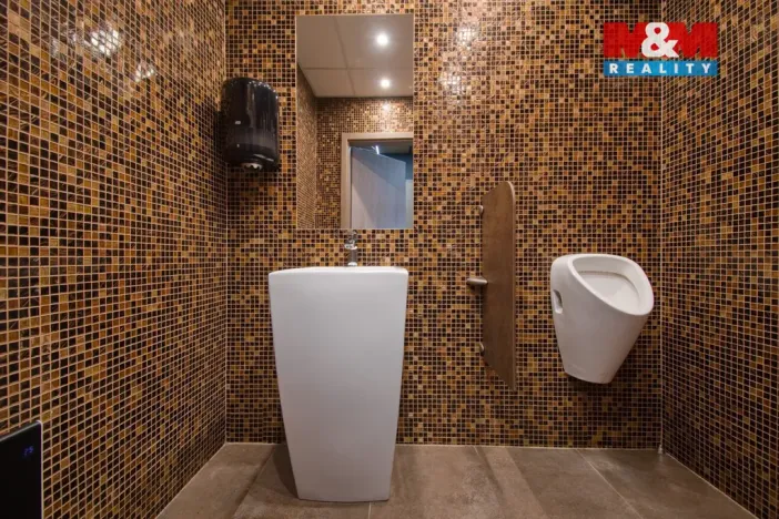 Pronájem obchodního prostoru, Rožnov pod Radhoštěm, Meziříčská, 180 m2