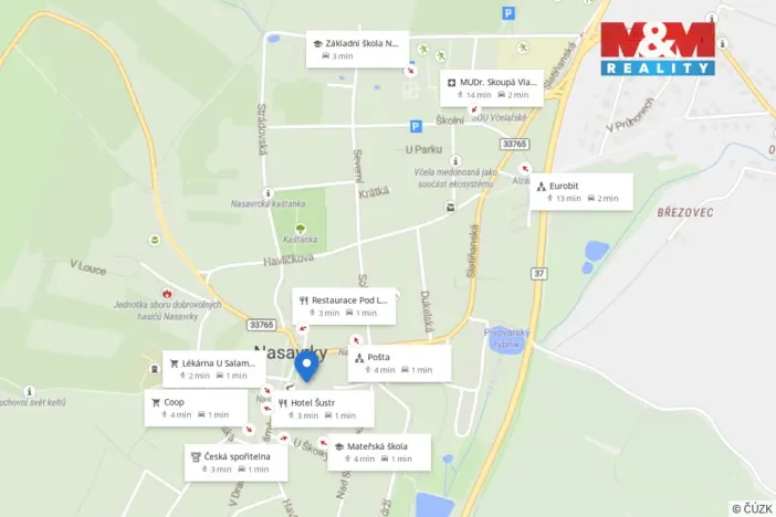 Pronájem obchodního prostoru, Nasavrky, Náměstí, 260 m2