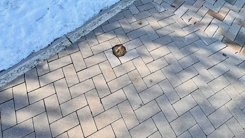 Prodej pozemku pro bydlení, Nový Malín, 1079 m2