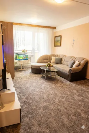 Prodej bytu 1+1, Olomouc - Nová Ulice, Pionýrská, 45 m2