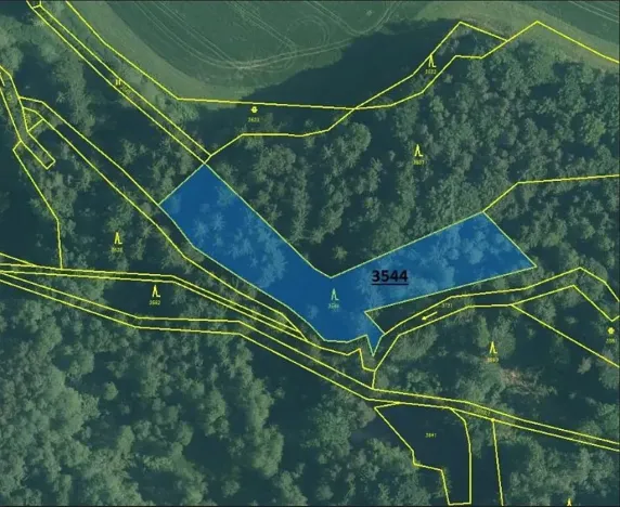 Prodej lesa, Člunek, 3295 m2