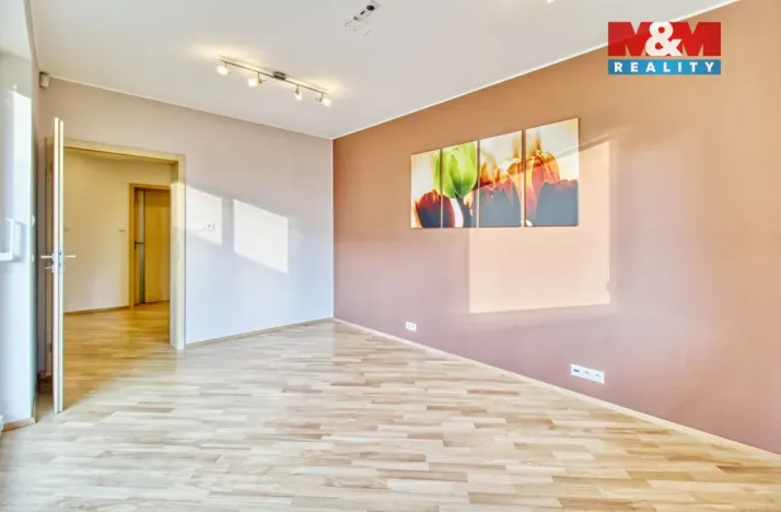 Prodej rodinného domu, Hrušovany, 300 m2