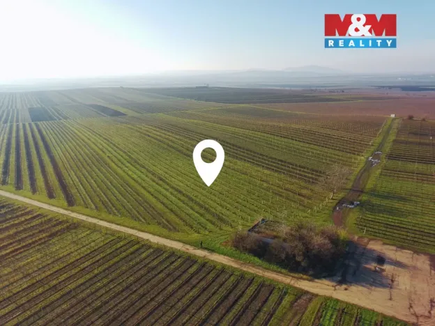 Prodej pole, Velké Bílovice, 7286 m2