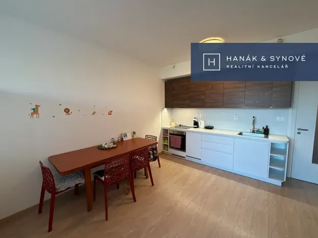Pronájem bytu 1+kk, Brno, Provazníkova, 48 m2