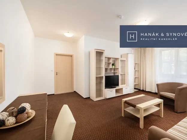 Pronájem bytu 2+1, Brno, Anenská, 50 m2