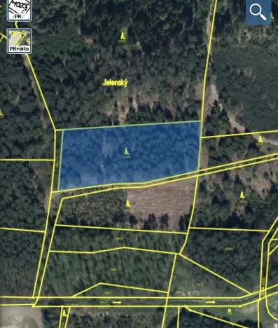 Prodej lesa, Veliny, 4431 m2