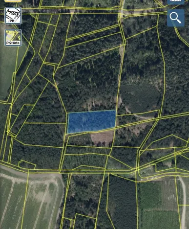 Prodej lesa, Veliny, 4431 m2