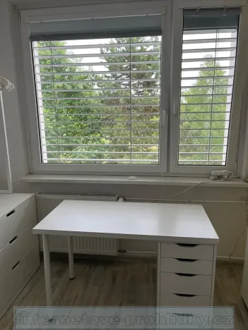 Pronájem pokoje, Praha - Řepy, Mrkvičkova, 20 m2