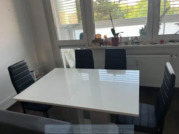 Pronájem pokoje, Praha - Řepy, Mrkvičkova, 20 m2