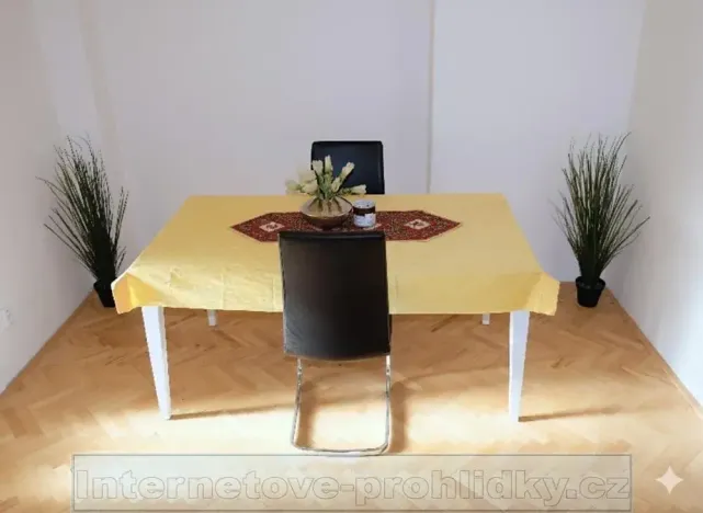 Pronájem pokoje, Praha - Břevnov, Bělohorská, 18 m2