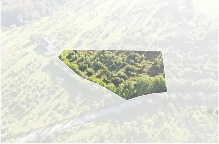 Prodej sadu/vinice, Troskovice, 8502 m2