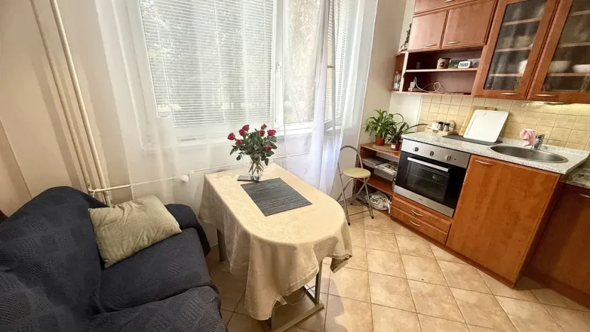 Pronájem bytu 1+1, Jihlava, Telečská, 33 m2