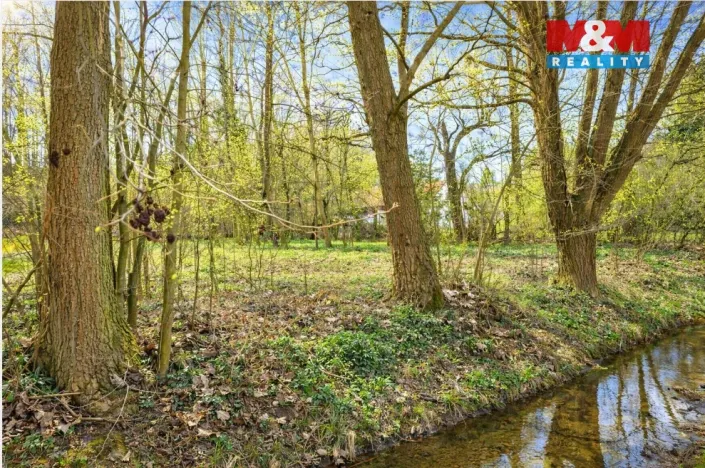 Prodej zahrady, Kořenice - Chotouchov, 1304 m2