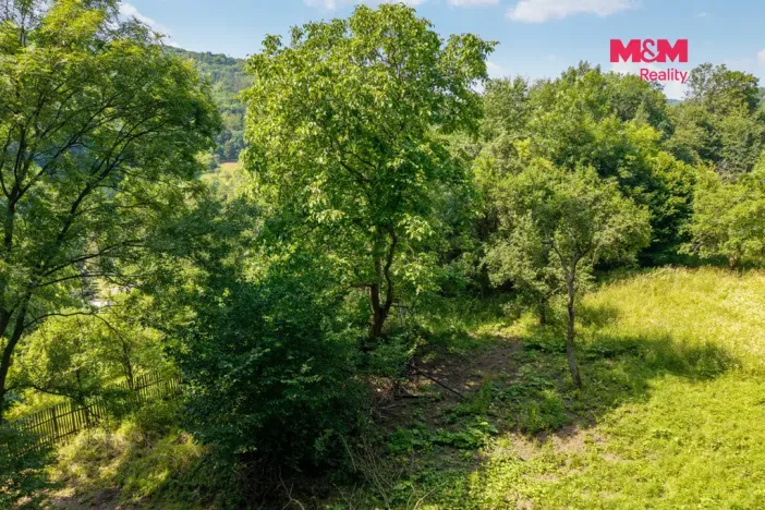Prodej zahrady, Ryjice, 1648 m2