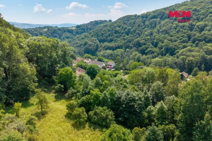 Prodej zahrady, Ryjice, 1648 m2