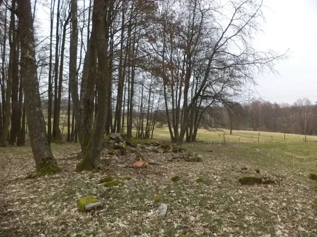 Dražba pozemku pro bydlení, Dolní Nivy, 1221 m2