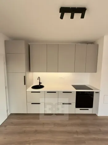 Pronájem bytu 2+kk, Únětice, Rýznerova, 44 m2