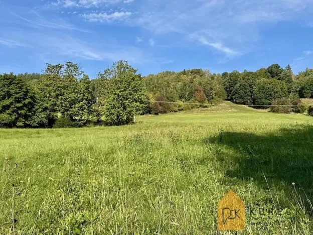 Prodej chalupy, Holčovice, 159 m2