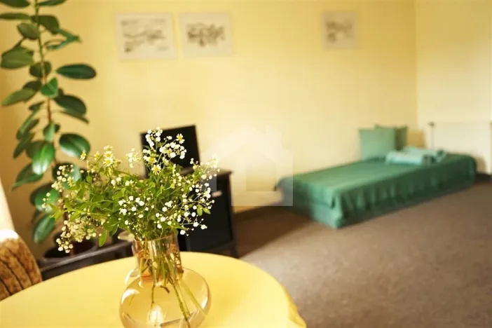 Prodej ubytování, Jindřichův Hradec - Jindřichův Hradec I, 600 m2