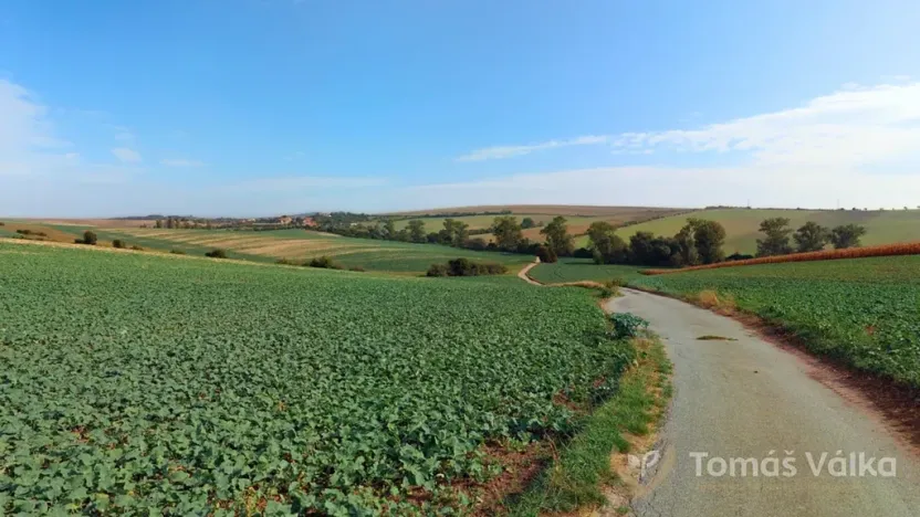 Prodej podílu pole, Nenkovice, 2909 m2