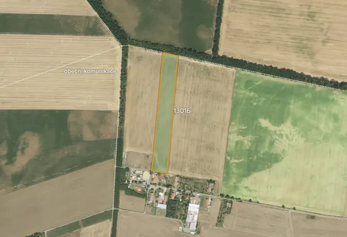 Prodej pole, Hrušovany nad Jevišovkou, 32051 m2