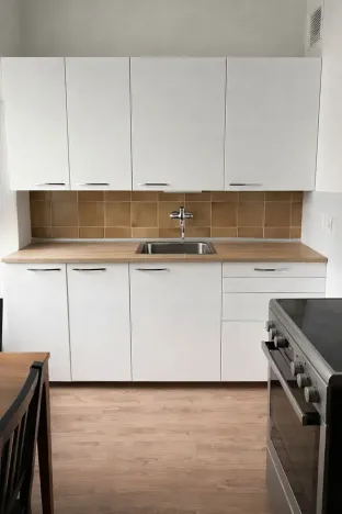 Pronájem bytu 1+1, Praha - Nové Město, Krakovská, 55 m2