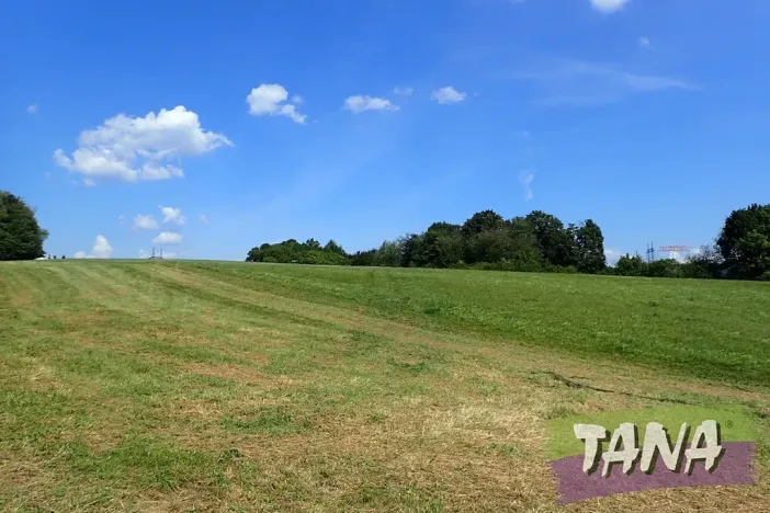 Prodej louky, Hodkovice nad Mohelkou, 49051 m2