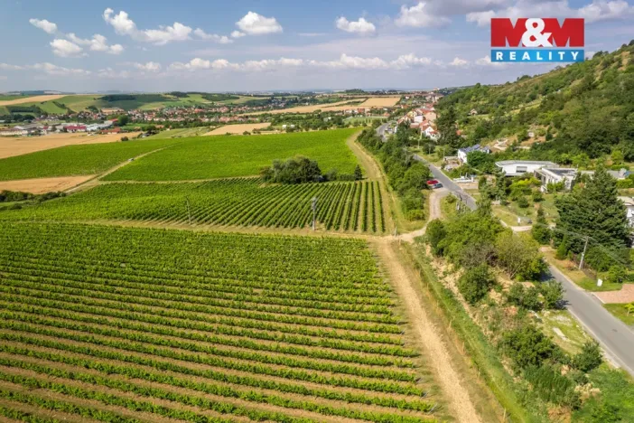 Prodej pozemku pro bydlení, Viničné Šumice, 3276 m2