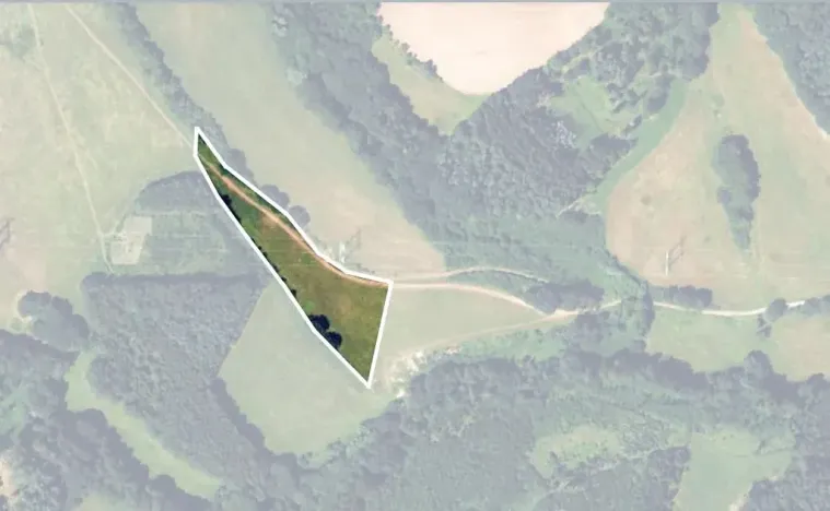 Prodej louky, Velké Opatovice, 9717 m2