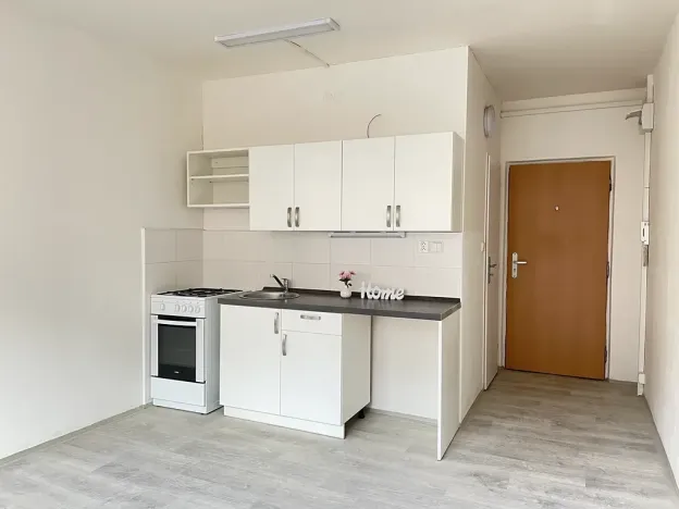 Pronájem bytu 1+1, Litvínov, Rooseveltova, 37 m2